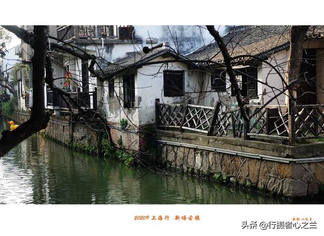 上海古镇行游影记（2）—新场古镇（二）
