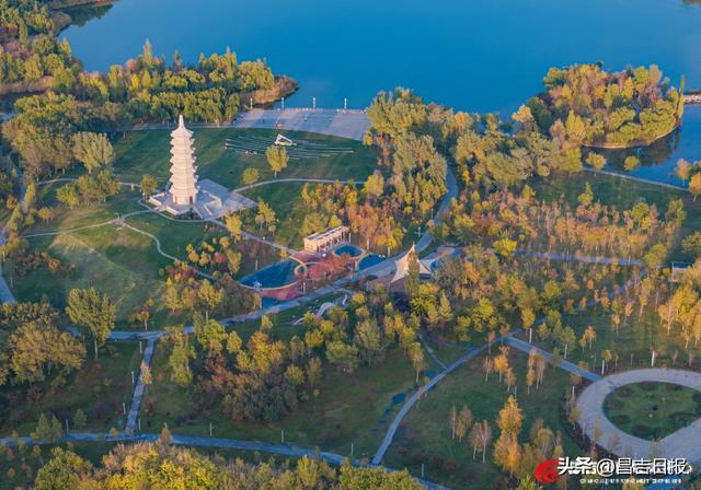 昌吉滨湖河中央公园：邂逅一场秋色绮梦