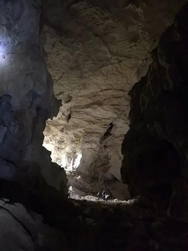 带小朋友去贵州茂兰，连环探洞加漏斗原始森林徒步二日游全攻略！