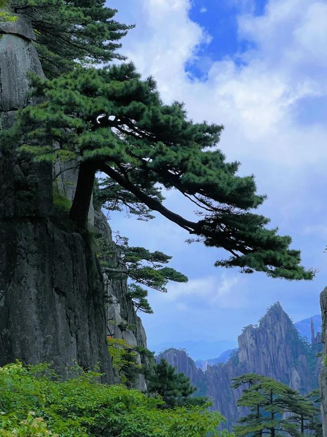 黄山入选中国最美十大名山，它到底美在哪？ | 超级皖黄山市争霸赛等你来战