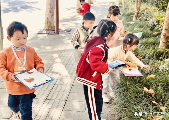 奉贤的秋天，才是上海隐藏的“顶流”！