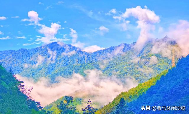 耿达——云如花飘，雾似露润
