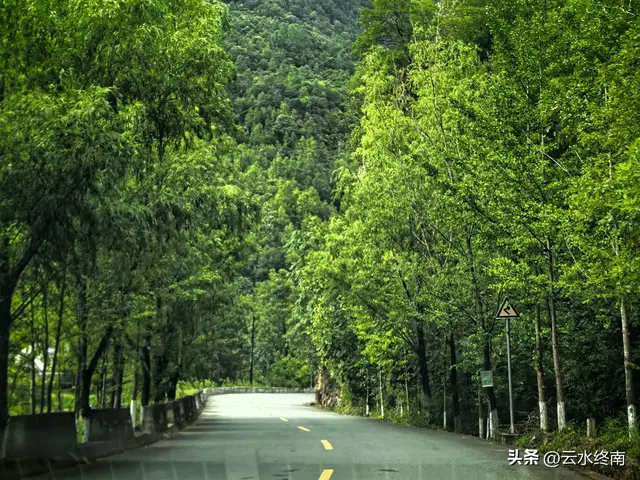 美不美？从“吐一路”到最美乡村路，看4000年银杏，探2000年栈道