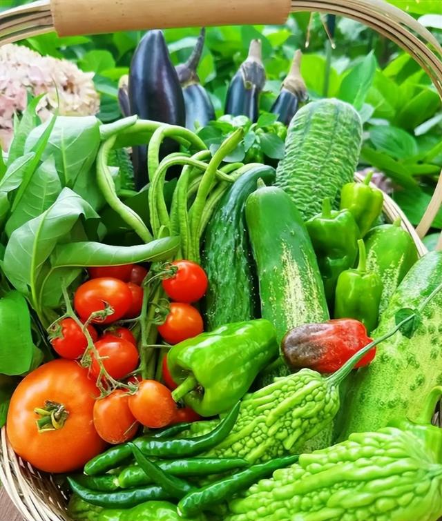 央视曝光毒红薯！商户主动投毒	，流窜至全国多地，背后利益链曝光