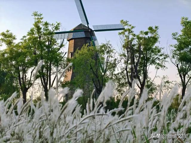 收藏!最美的11月游淄博,这些景区通通免费或优惠!