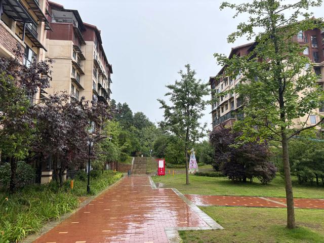 百里杜鹃雨中的回想