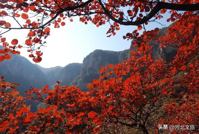 秋意正浓！是时候来石家庄平山开启一场秋日徒步了