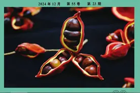 白术及其复方治疗炎症性肠病的研究进展图片