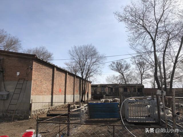 探寻包头市固阳县境内古遗址道路上的一些个人感悟