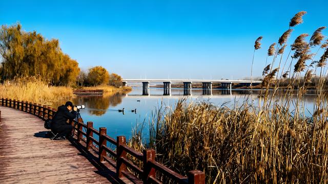 相山研霜濡砚韵 濉河枕涛续弦歌——安徽淮北初冬行记