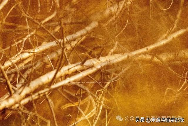 陕西渭南：冬至日的四季色调和万达广场的人间实像