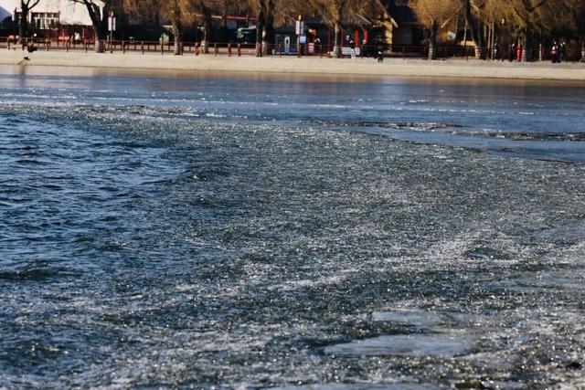 长春惊现“龙鳞”！绝非人工