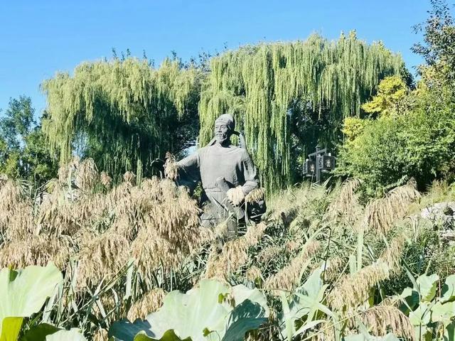 博物馆秋之旅丨赏景读史，秋光中与这四家纪念馆邂逅——