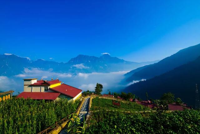秋天还没过够？那就去乐山留住秋天！