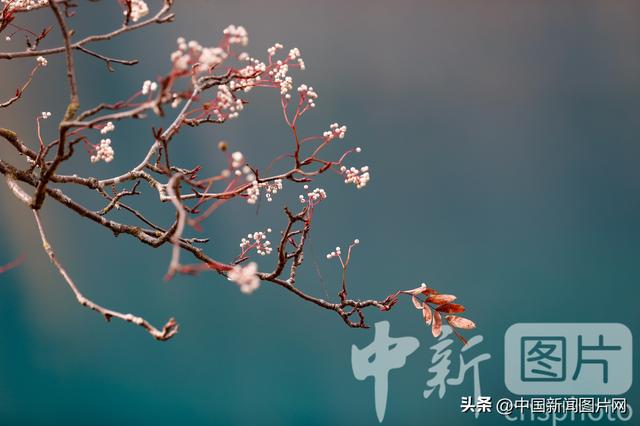 谁懂啊！茂县羌年直接把川西的浪漫狠狠拿捏了