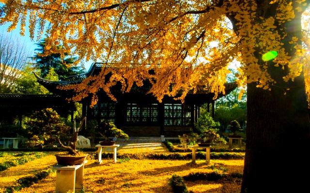 扬州冬始，园林私语