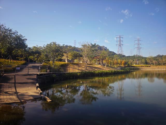从丽康路穿荔园溪谷至西丽湖绿道骑行随拍