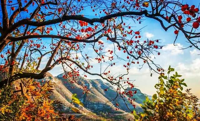 汉台区乡村之旅，权力村的朴实生活，铁佛寺的宁静时光