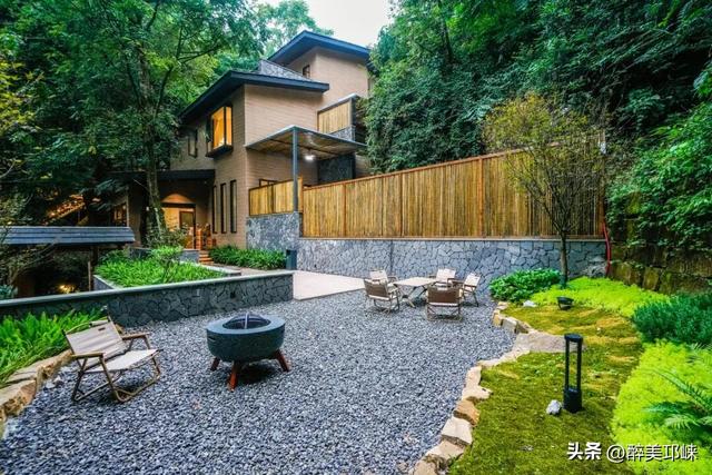 100个美梦丨在天台山云雾深处，藏着一处会呼吸的苔藓秘境