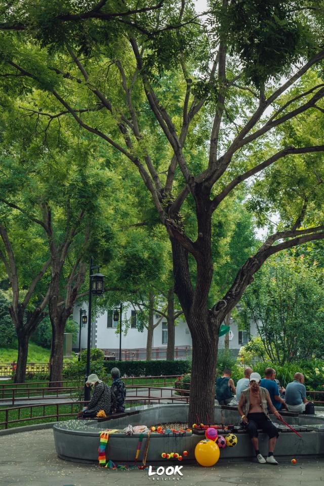 夏天来北京，就为了逛这座公园