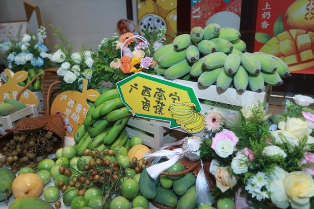 “春雨工程”2025年广西—内蒙古公共文化交流活动圆满举行