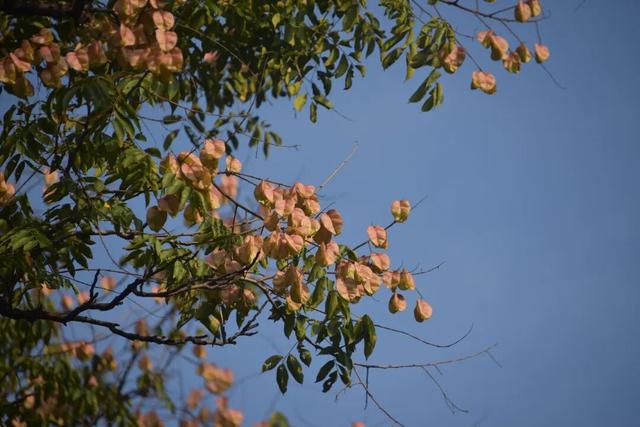 拜托，这真的很好看啊…