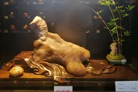 14年前开价38万的石头，谈了3次加到16万都没成，如今拿下最高奖图片