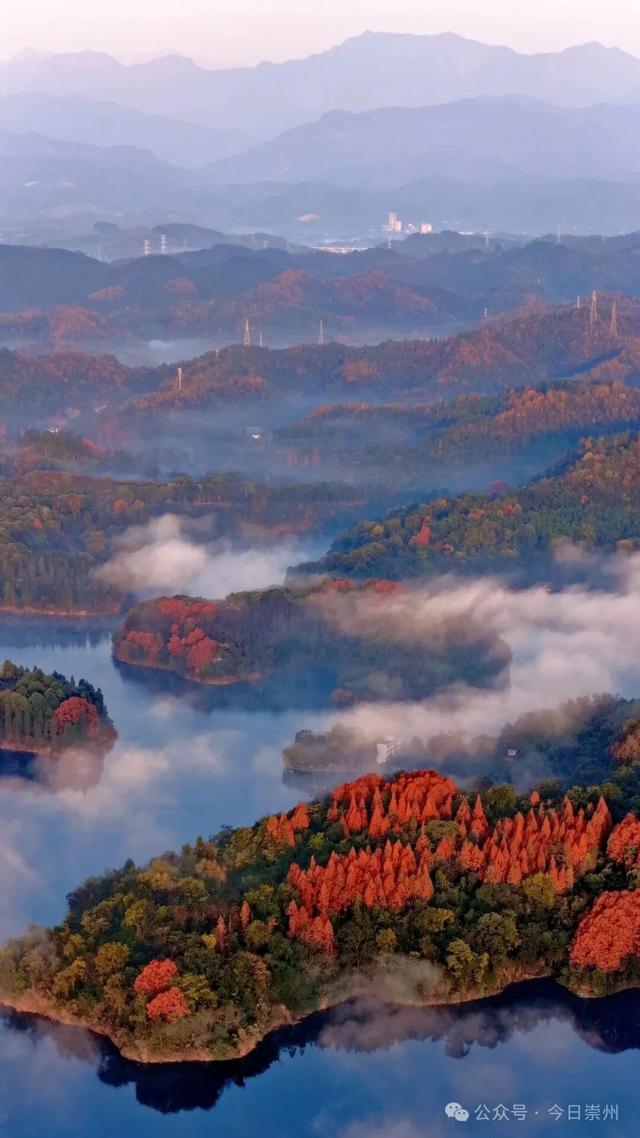 免费又出片！崇州初冬宝藏秘境，美到封神！