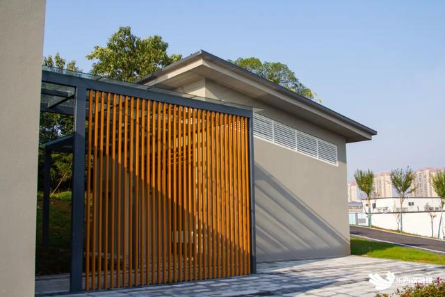 东西湖这座山，变了！