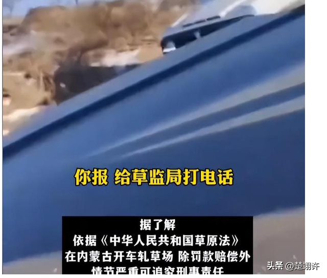 女子开车碾压草场后续：扬言撞死牧民，真实身份被扒，公司被牵连