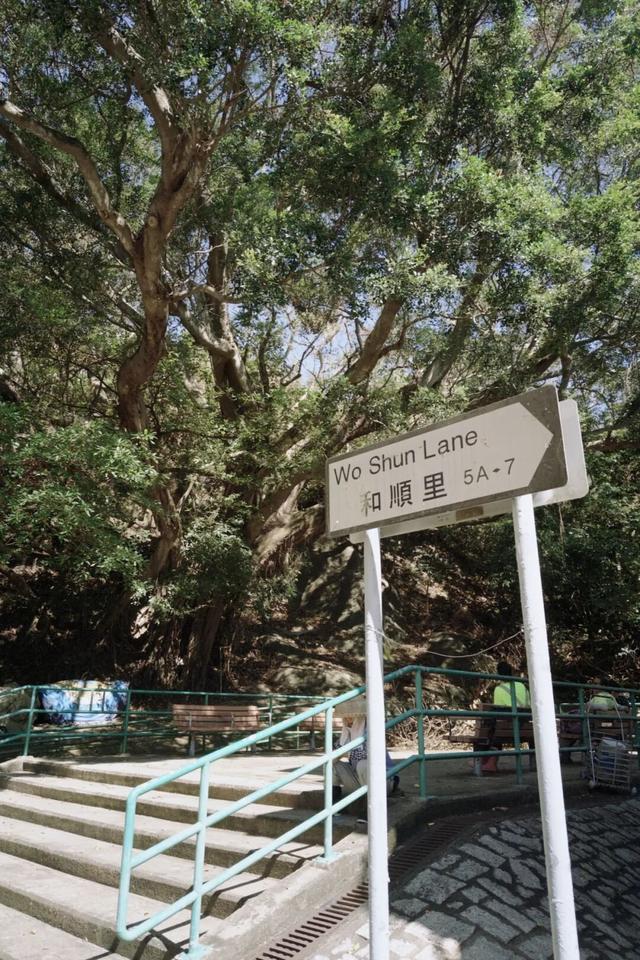 最好玩的香港，一定不在城里！