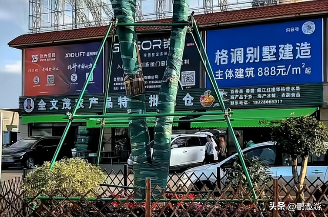 全红婵爸爸用冠军名号赚钱，把流量变成现实红利	，网友评论吵翻天