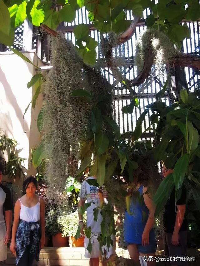 美国东西海岸游（七）——海风与时光交织的圣地亚哥一日游