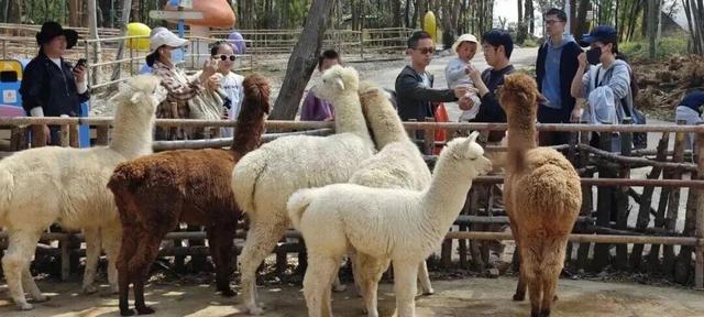 游在鹰潭｜学生搭子团秋季攻略！轻松玩转4大宝藏地「全球学子嘉游赣 奇绝鹰潭逍遥游」