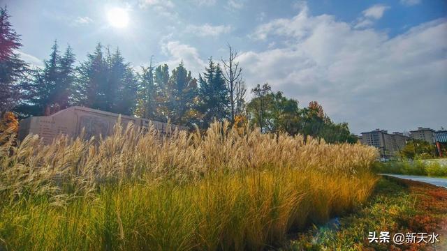 摄影师看麦积 | 马跑泉公园冬日风光美