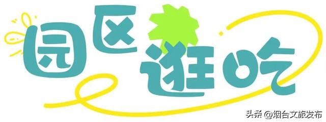 【乐游烟台】周末好去处丨被低估了！烟台这三处“初冬避风港”太好逛了