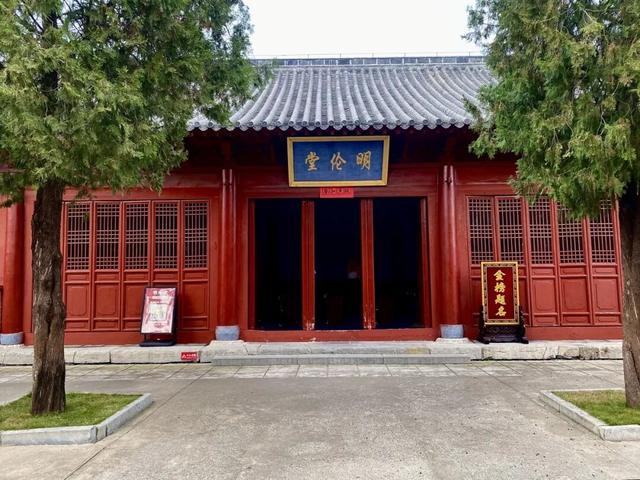 @临沂市民 银杏树已到最佳观赏期，速来！