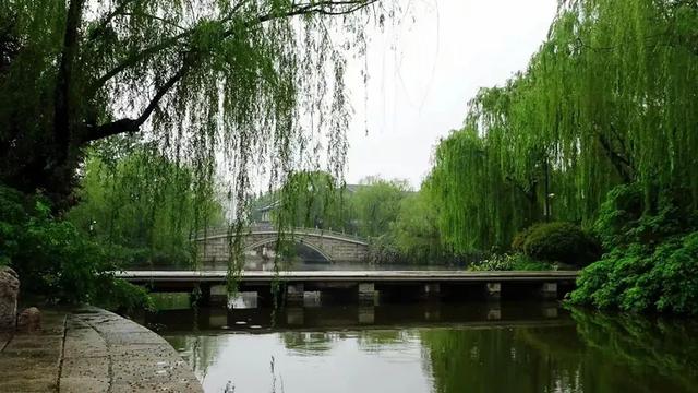 半城湖中石桥美
