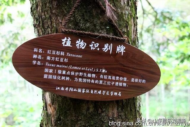 水口景区小记（江西之旅第八十八篇）