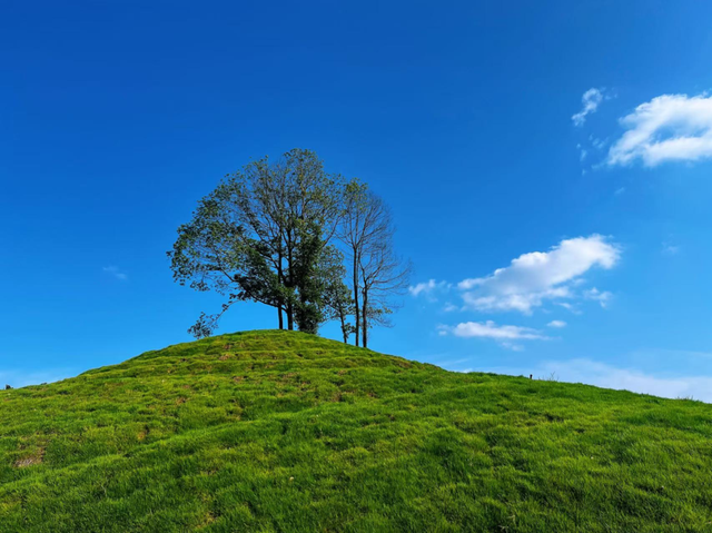 国庆寻幽：邂逅乐山绿心海棠盛景，漫步九大诗境画卷