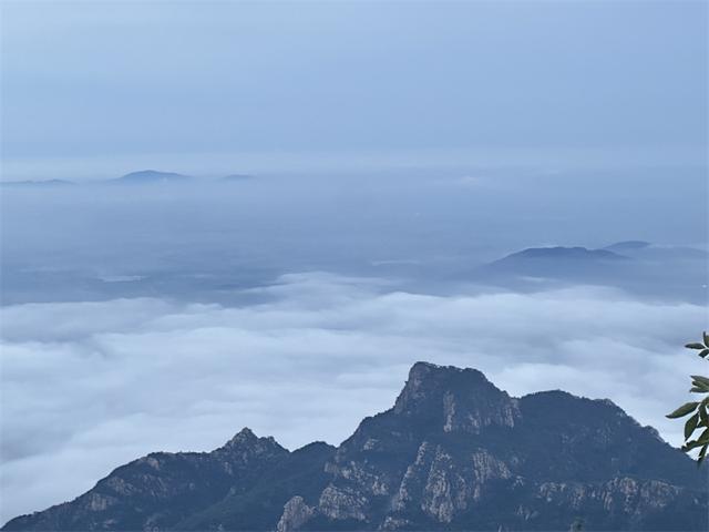 秋雨润泰山 云海漫山峦