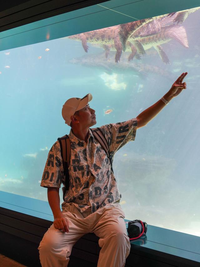 迪拜隐藏版野性目的地｜近距离看“巨齿王”的一天