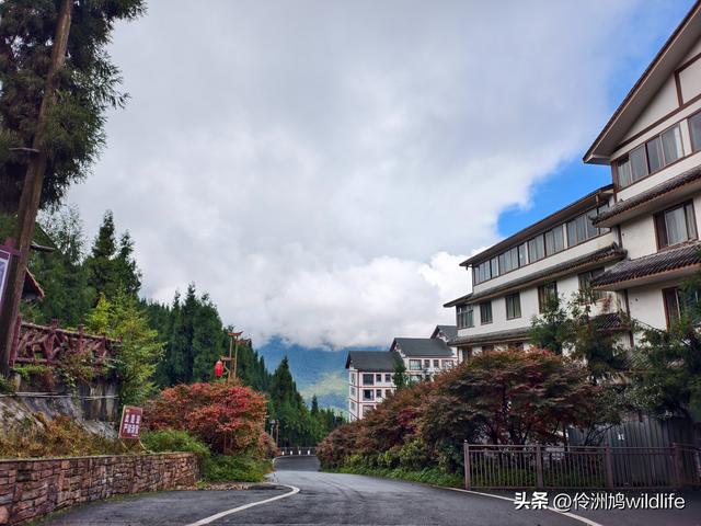 四川行(73)什邡红枫岭徒步到钟鼎寺