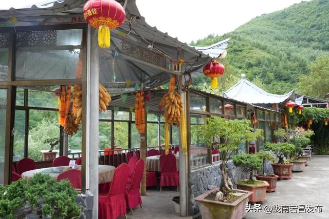 避暑胜地·康养宕昌｜宕昌民宿：诗意与康养交织的旅居之所