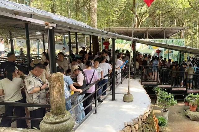 突破3万人次！富阳这里，持续火爆！