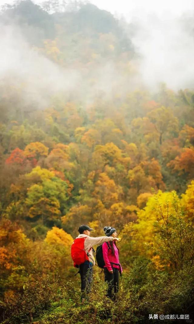 成都周边8条赏秋彩林线,人少景美,12年资深徒步玩家推荐