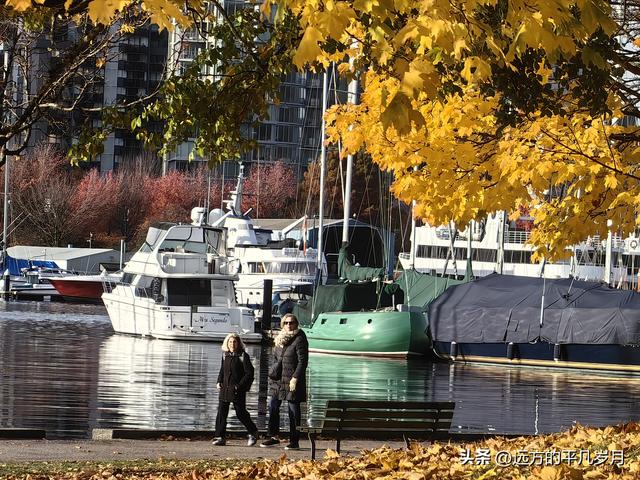 温哥华游记（四）