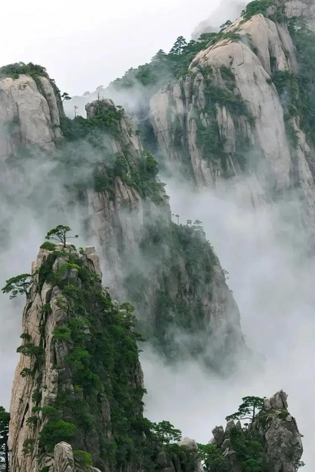 手机壁纸精美图片（99）
