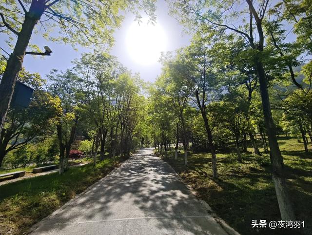 理小路环线今日风景！