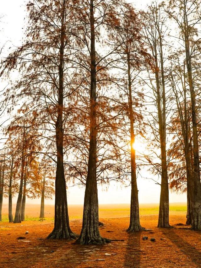 天空之镜，奇墅之秋 | 皖美冬日 | 第十五届安徽国际文化旅游节